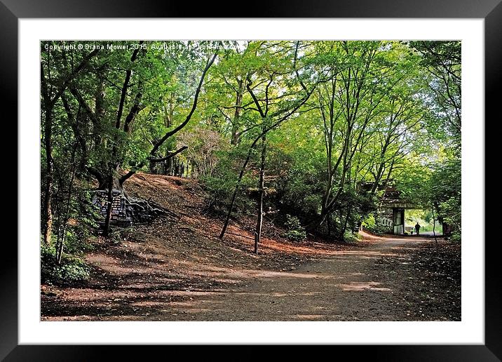  Parkland Walk London Framed Mounted Print by Diana Mower