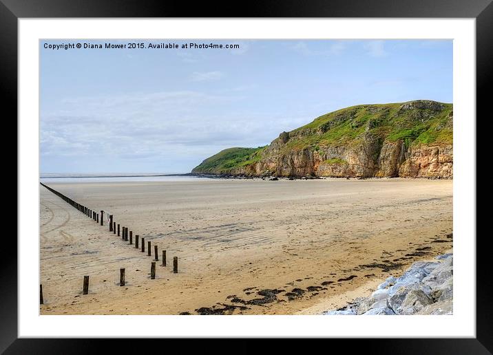  Brean Down  Framed Mounted Print by Diana Mower