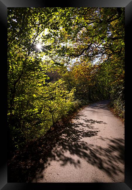  Shadows on the path Framed Print by Andrew Kearton