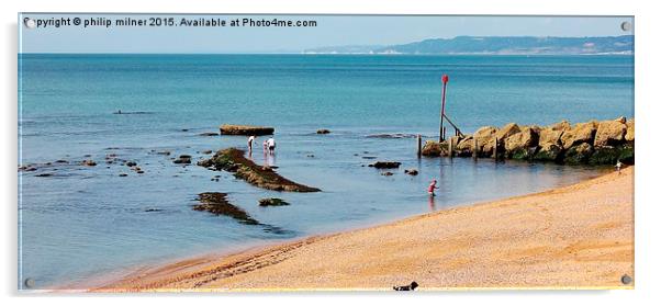  Jurassic Coast Acrylic by philip milner