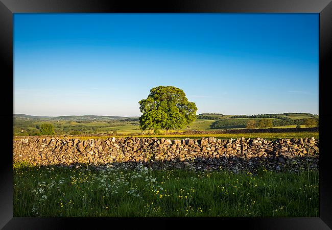 Peak District countryside in summer Framed Print by Andrew Kearton