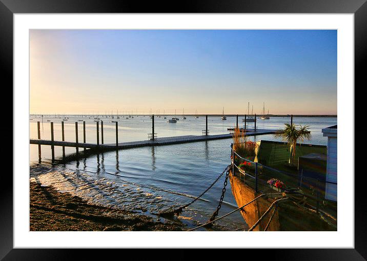  A Piece Of Tropical Paradise Framed Mounted Print by Marie Castagnoli