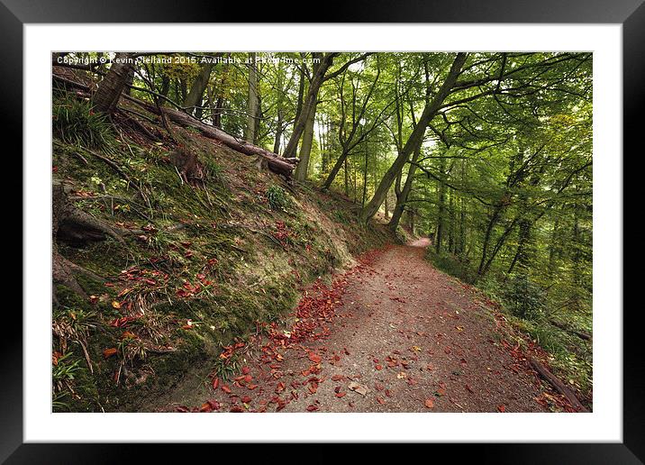  Pathway in the woods Framed Mounted Print by Kevin Clelland