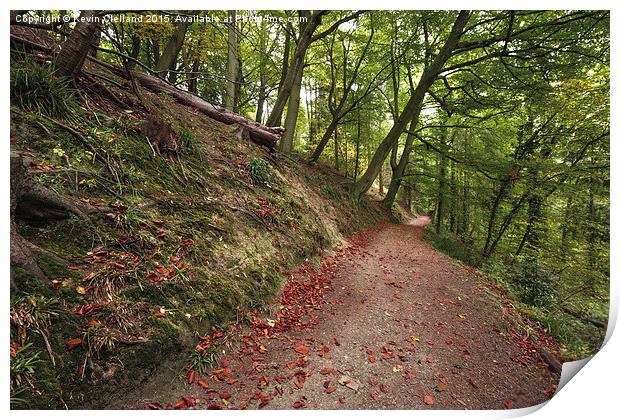  Pathway in the woods Print by Kevin Clelland