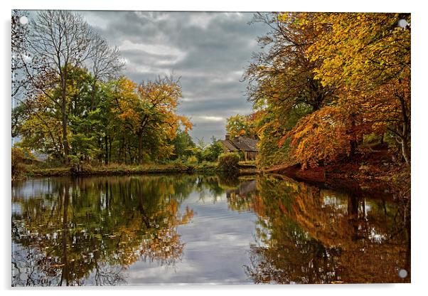 Bentley Brook Mill Pond  Acrylic by Darren Galpin