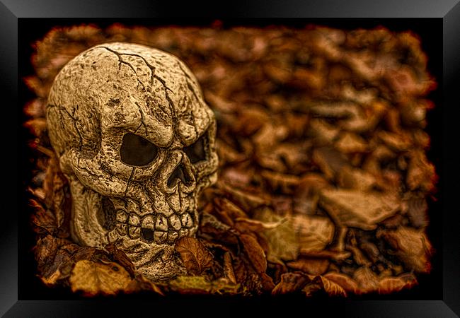 Halloween Skull 1 Framed Print by Steve Purnell