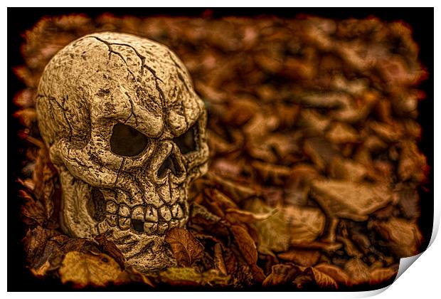 Halloween Skull 1 Print by Steve Purnell