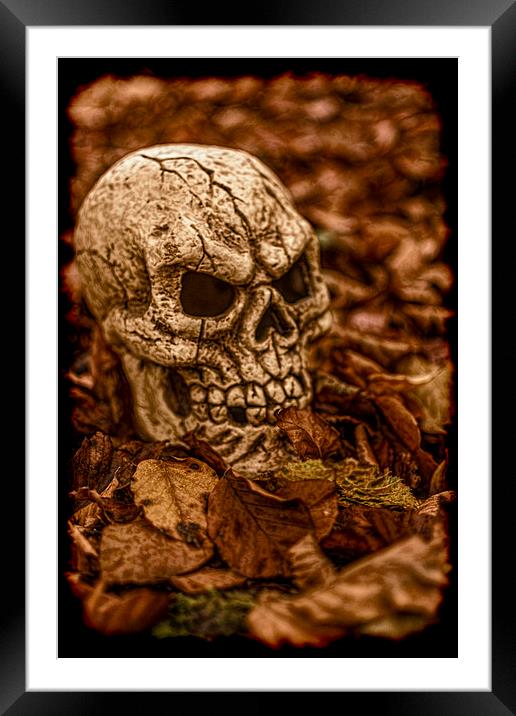 Halloween Skull 2 Framed Mounted Print by Steve Purnell