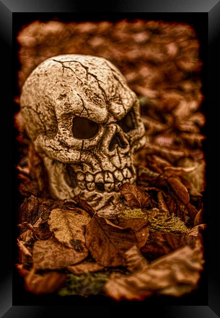 Halloween Skull 2 Framed Print by Steve Purnell