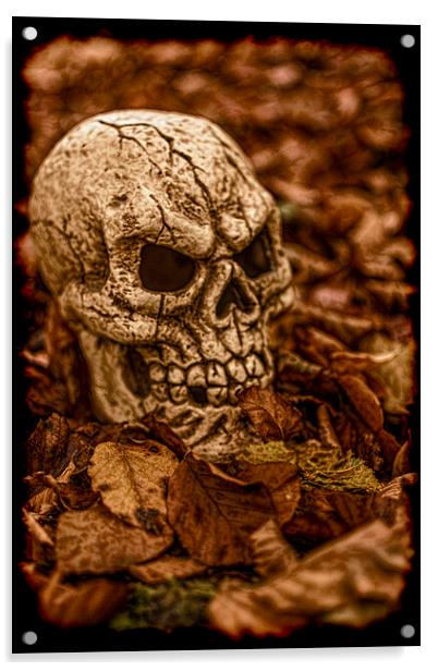 Halloween Skull 2 Acrylic by Steve Purnell