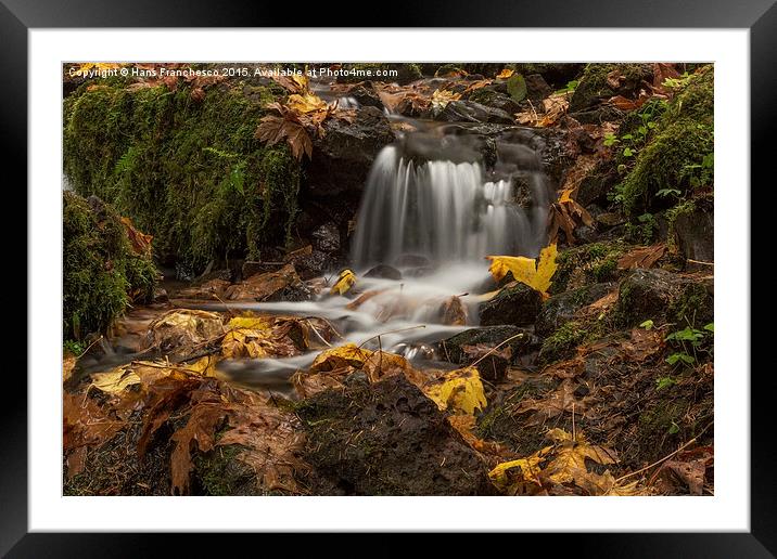  Fall colors on Wahkeena Creek Framed Mounted Print by Hans Franchesco