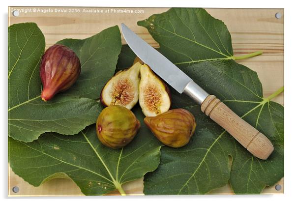 Fresh Figs Acrylic by Angelo DeVal