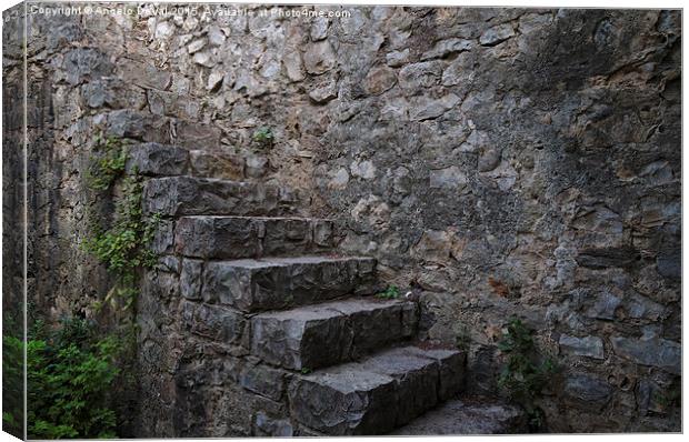 Medieval Wall Stairs Canvas Print by Angelo DeVal