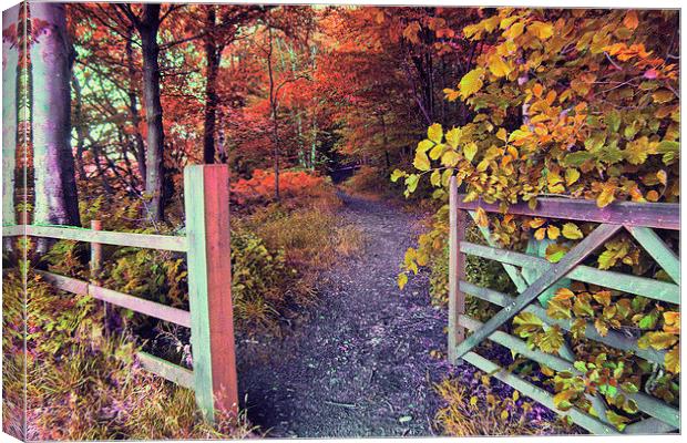  A Walk in the Woods Canvas Print by Irene Burdell