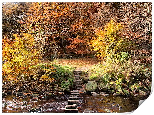  Autumn  Colours  Print by Irene Burdell