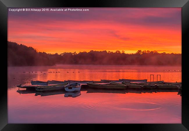 Sunrise at Thornton reservoir in Leicestershire. Framed Print by Bill Allsopp