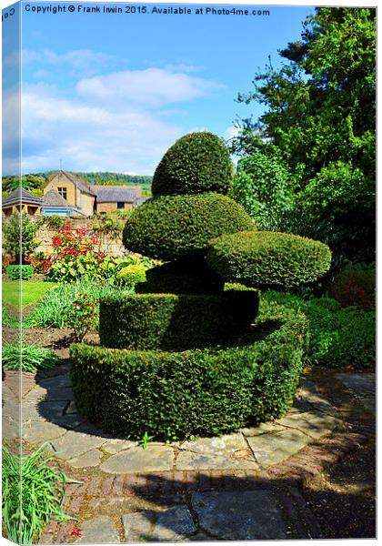  Cotswolds example of Topiary work Canvas Print by Frank Irwin