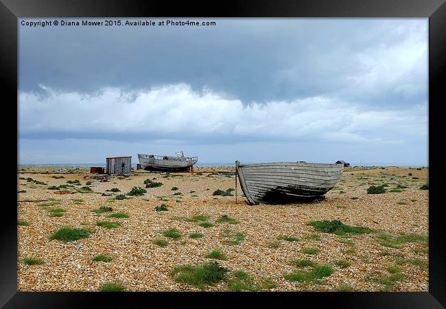 Dungeness  Framed Print by Diana Mower