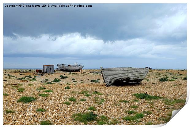 Dungeness  Print by Diana Mower