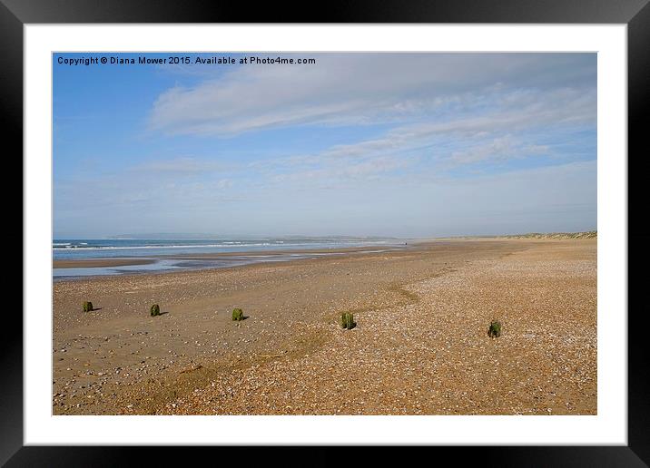  Camber Sands Framed Mounted Print by Diana Mower