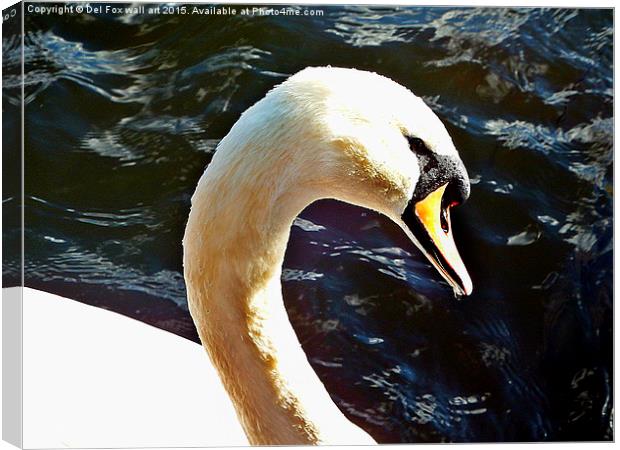  Mute swan on the lake Canvas Print by Derrick Fox Lomax