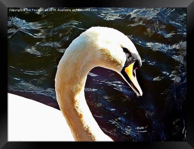  Mute swan on the lake Framed Print by Derrick Fox Lomax
