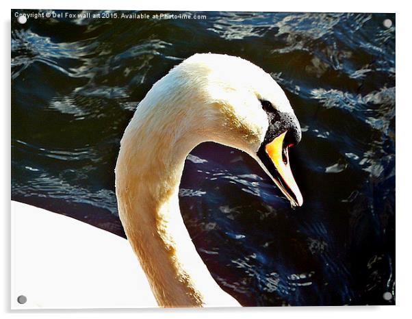  Mute swan on the lake Acrylic by Derrick Fox Lomax
