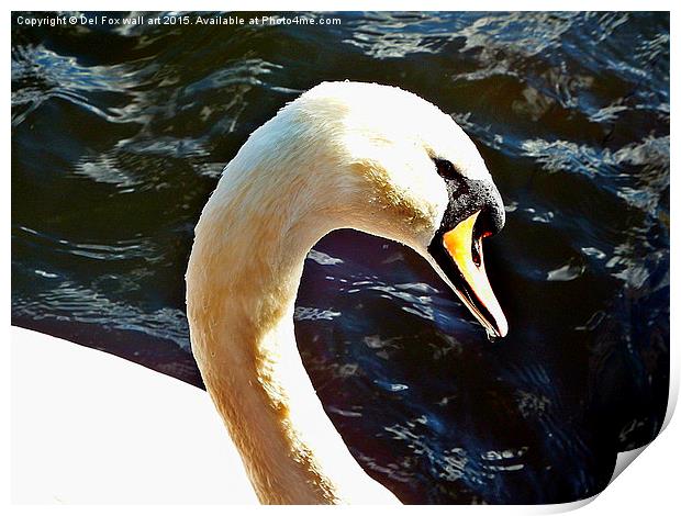  Mute swan on the lake Print by Derrick Fox Lomax
