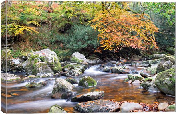 The River Plym at Dewerstone Canvas Print by Helen Hotson