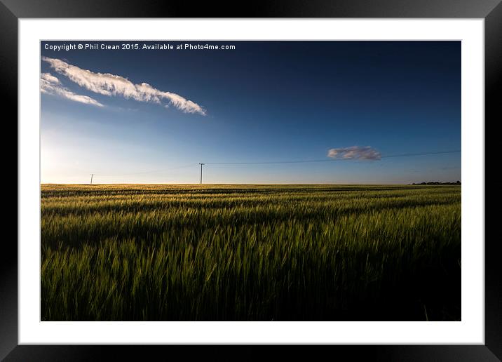  Cornfield & Telegraph pole at dusk Framed Mounted Print by Phil Crean