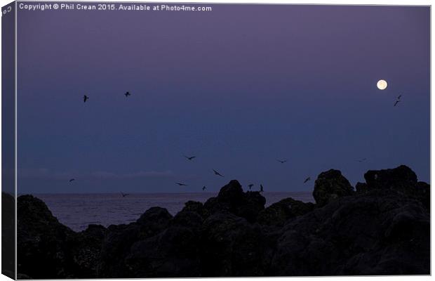  Full moon, seagulls, rocks, at the coast at dawn Canvas Print by Phil Crean