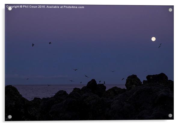  Full moon, seagulls, rocks, at the coast at dawn Acrylic by Phil Crean