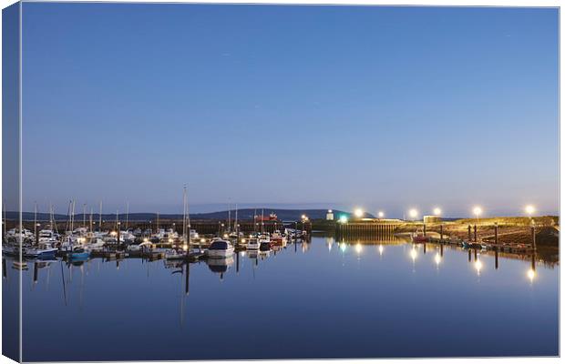 Burry Port harbour and lighthouse at night. Wales, Canvas Print by Liam Grant