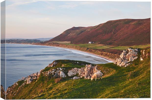  Rhossili beach at sunset. Wales, UK. Canvas Print by Liam Grant