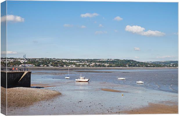 Boats in the bay. Mumbles, Wales, UK. Canvas Print by Liam Grant