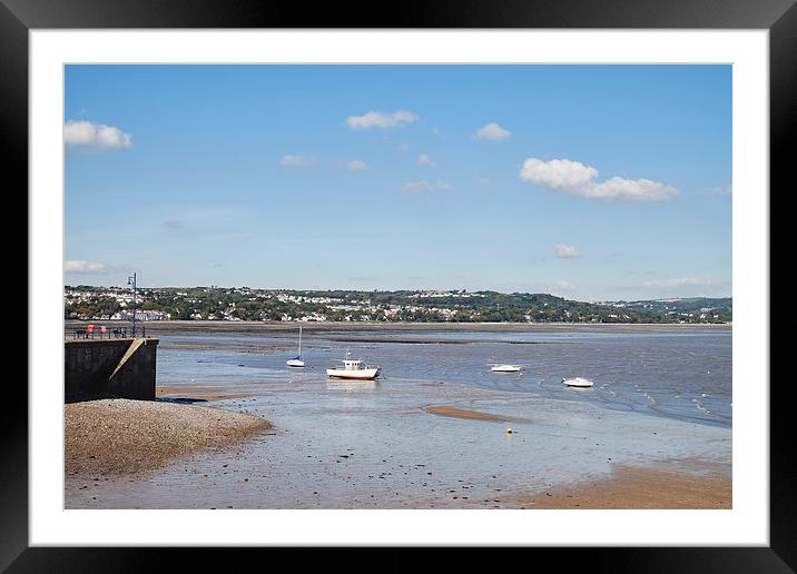 Boats in the bay. Mumbles, Wales, UK. Framed Mounted Print by Liam Grant