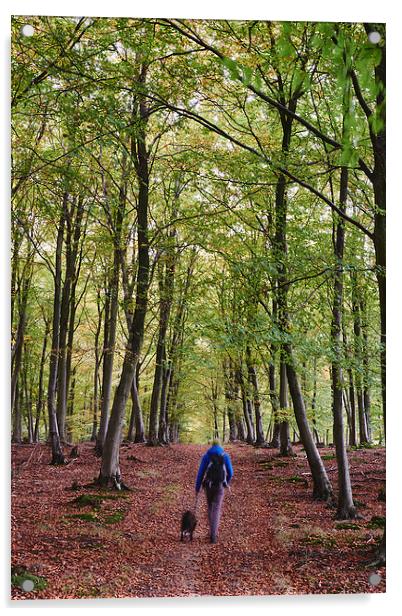 Male walking his dog through autumnal woodland. No Acrylic by Liam Grant