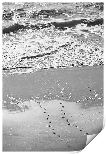 Footprints in the sand. Tenby beach, Wales, UK. Print by Liam Grant
