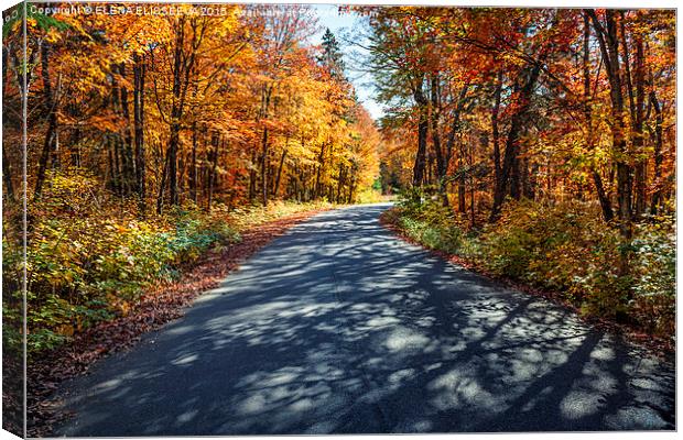 Road in fall forest Canvas Print by ELENA ELISSEEVA