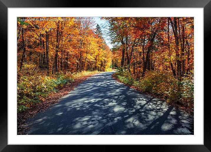 Road in fall forest Framed Mounted Print by ELENA ELISSEEVA