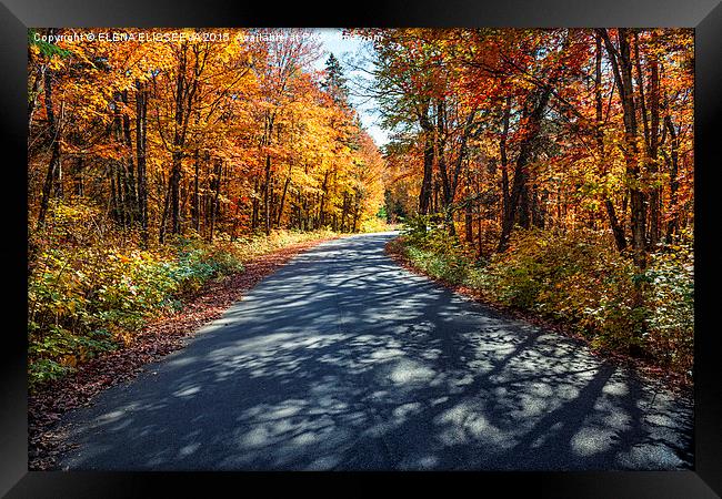 Road in fall forest Framed Print by ELENA ELISSEEVA