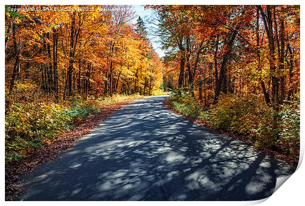 Road in fall forest Print by ELENA ELISSEEVA