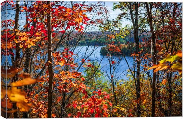 Lake and fall forest Canvas Print by ELENA ELISSEEVA