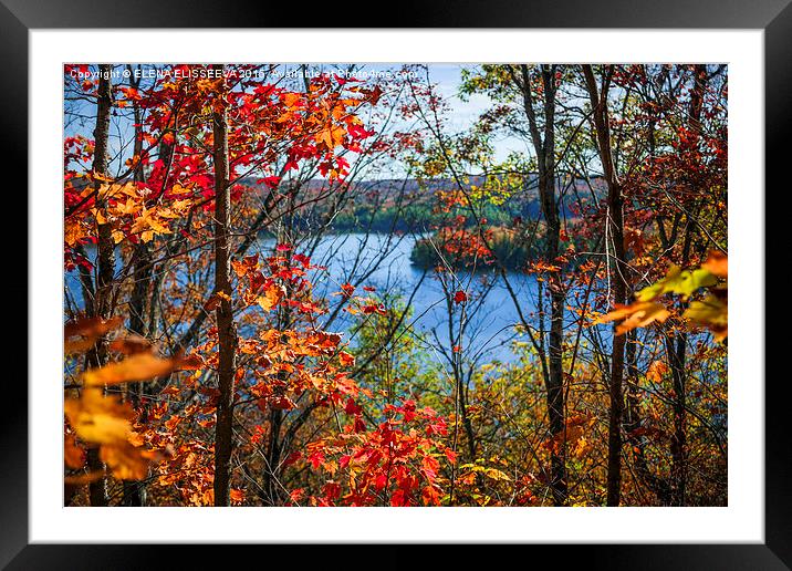Lake and fall forest Framed Mounted Print by ELENA ELISSEEVA
