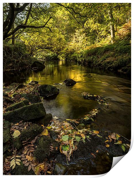 West Beck, Goathland Print by Dave Hudspeth Landscape Photography