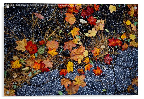 Fall leaves on pavement Acrylic by ELENA ELISSEEVA