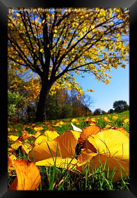 Autumn landscape Framed Print by ELENA ELISSEEVA