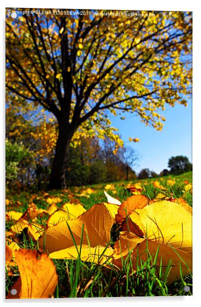Autumn landscape Acrylic by ELENA ELISSEEVA