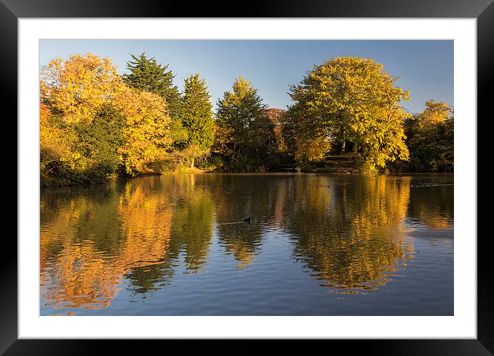  Autumn Reflections Framed Mounted Print by Rob Lester