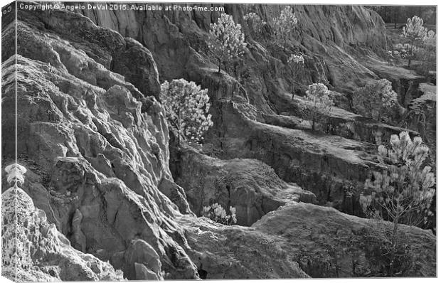 Cliff Pine Trees in Monochrome  Canvas Print by Angelo DeVal